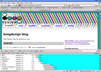 Firebug 1.0 Screenshot