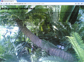 Screenshot of scaled background image in Chromium