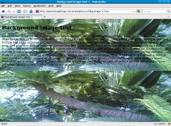 Screenshot of scaled background image in Firefox