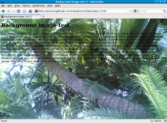 Screenshot of scaled background image in Firefox