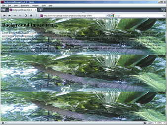 Screenshot of scaled background image in Opera 10
