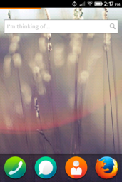 Firefox OS home screen